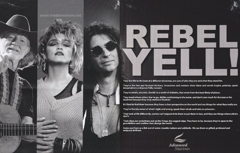 Unknown year - Unknown month - Unknown magazine - USA - Rebel yell!